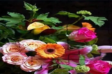 Flores jigsaw puzzle