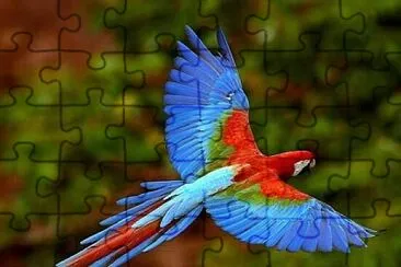 Arara Azul jigsaw puzzle