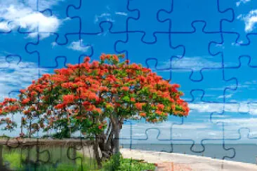 Imagem jigsaw puzzle