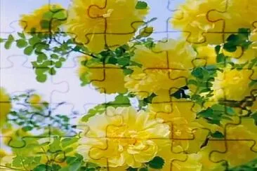 Amarillo jigsaw puzzle