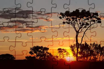 PrqMunicipalCerrado jigsaw puzzle