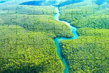 Quebra-cabeça Amazônia