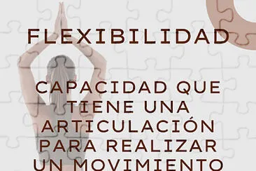 DEFINICIÓN FLEXIBILIDAD jigsaw puzzle