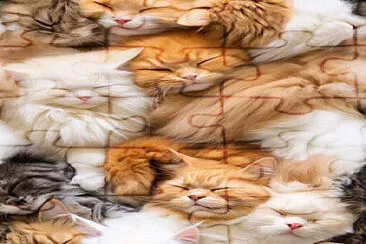 Gatos jigsaw puzzle