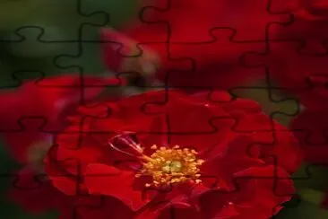 Flor jigsaw puzzle