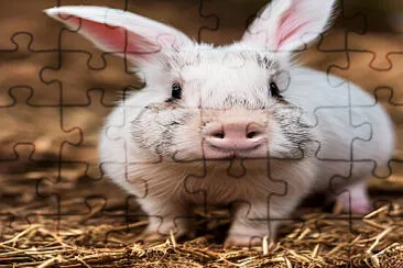 Pig Rabbit jigsaw puzzle