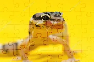 leopard gecko jigsaw puzzle