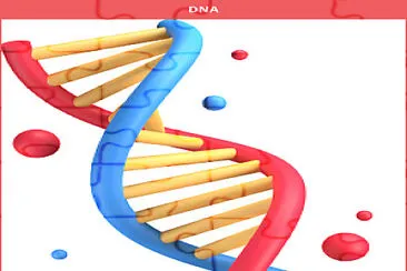 פאזל של O DNA armazena informações genéticas.