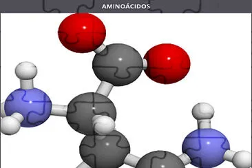 פאזל של São blocos de construção da  proteínas.