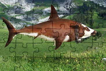 Cow Shark jigsaw puzzle