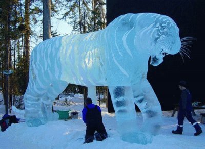 TIGRE DE HIELO