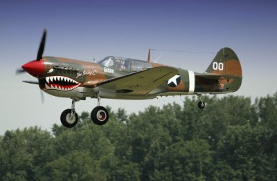 curtis p-40