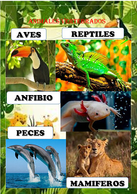 פאזל של animales vertebrados