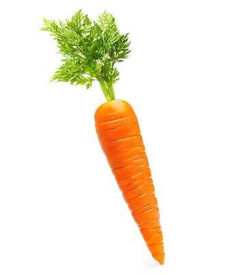 carota