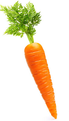 carota