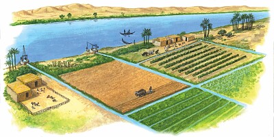 agricultura mesopotâmica