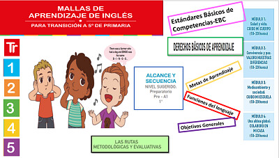 Estructura Malla Curricular transición y primaria