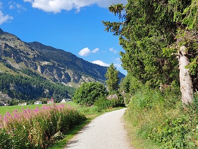 Sils im Engadin Schweiz