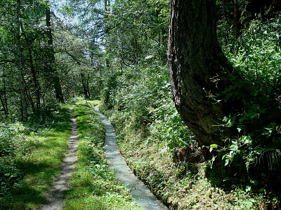 Suonen Baltschiedertal Schweiz