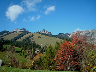 Jaunpass Schweiz