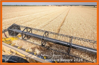 Moisson en Beauce 2024 jigsaw puzzle