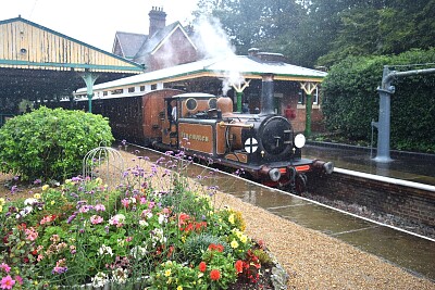 Terrier at Horstead Keynes