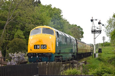 Greyhound on SVR