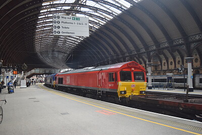 66 's at York