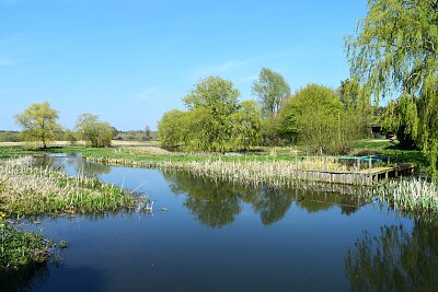 River Wensum, Norfolk