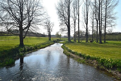 River Wensum, Norfolk