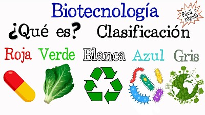 tipos de biotecnología