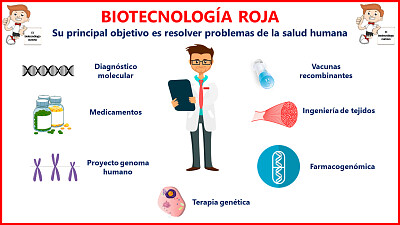 biotecnologia roja