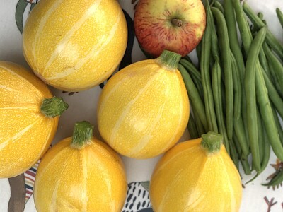 Yellow squash with beans