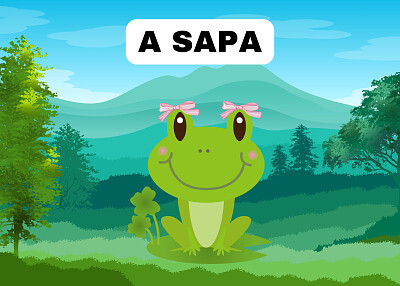 A SAPA