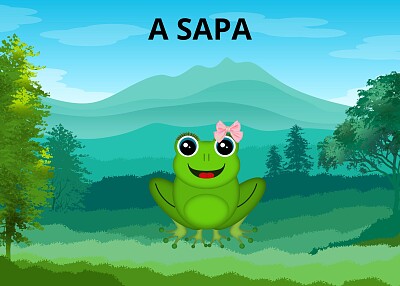 A sapa