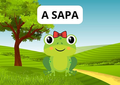 A SAPA