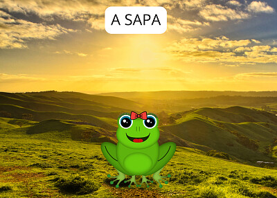 A SAPA