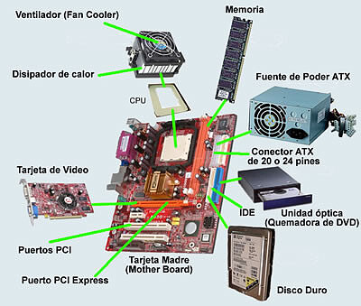 Partes internas del PC