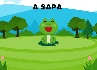 A SAPA