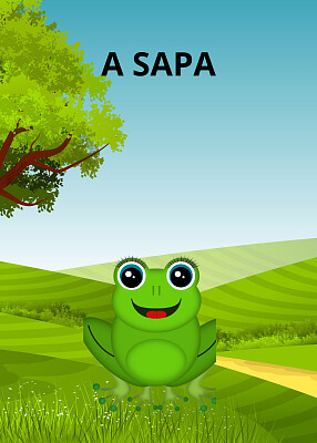 A SAPA