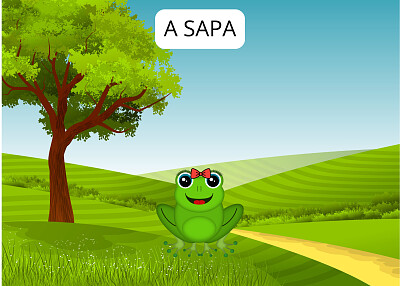 A SAPA