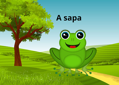 A sapa