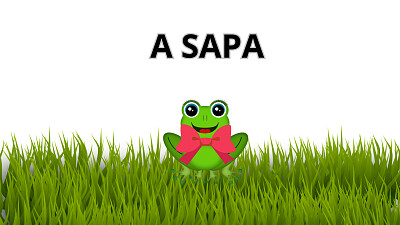 A SAPA