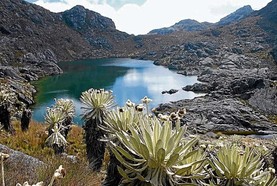 Páramo de Sumapaz