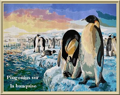 Pingouins sur la banquise