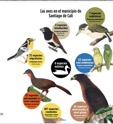 Cali Biodiversa - especies de aves