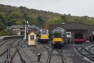 Class 31/37 's at Holt