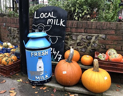 Country store- autumn pumpkins