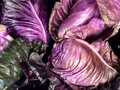 Purple cabbages