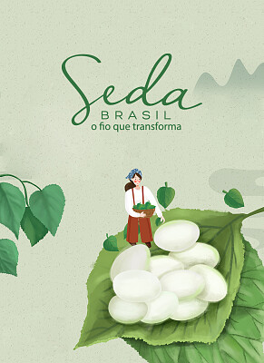 seda brasil